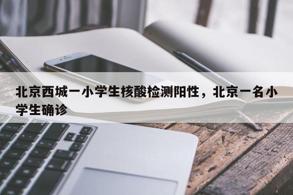 北京西城一小学生核酸检测阳性，北京一名小学生确诊