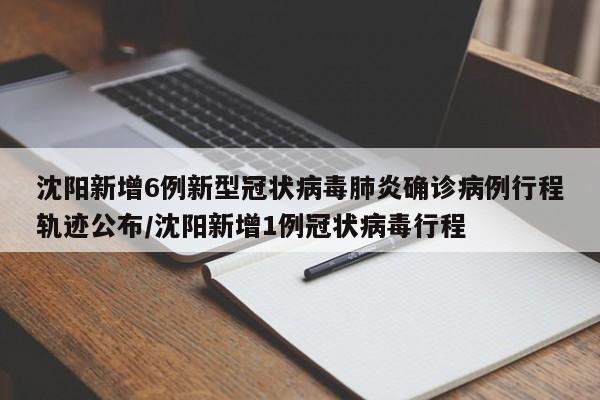 沈阳新增6例新型冠状病毒肺炎确诊病例行程轨迹公布/沈阳新增1例冠状病毒行程