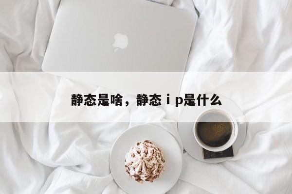 静态是啥，静态ⅰp是什么
