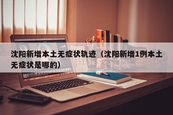 沈阳新增本土无症状轨迹（沈阳新增1例本土无症状是哪的）